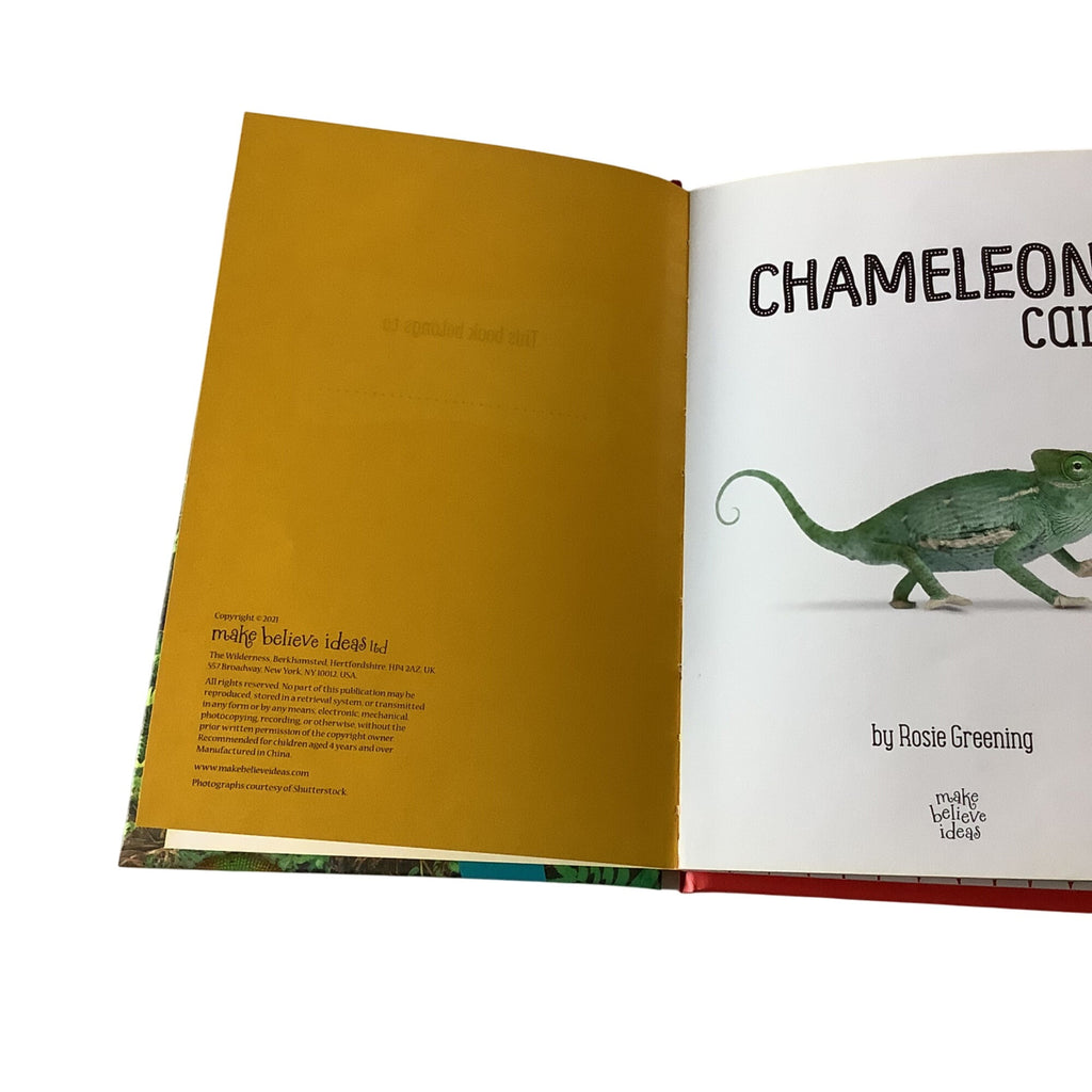 Chameleon Can Hardcover Childrens Book By Rosie Greening Kindergarten Reading Tool
