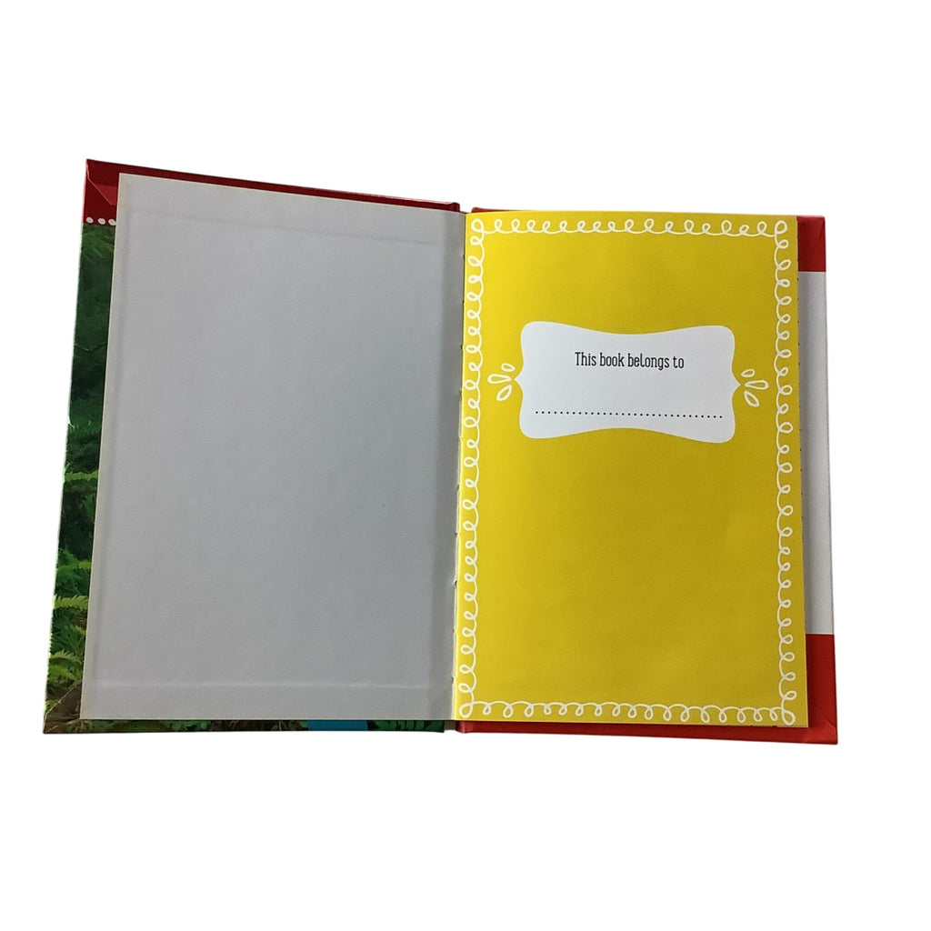 Chameleon Can Hardcover Childrens Book By Rosie Greening Kindergarten Reading Tool