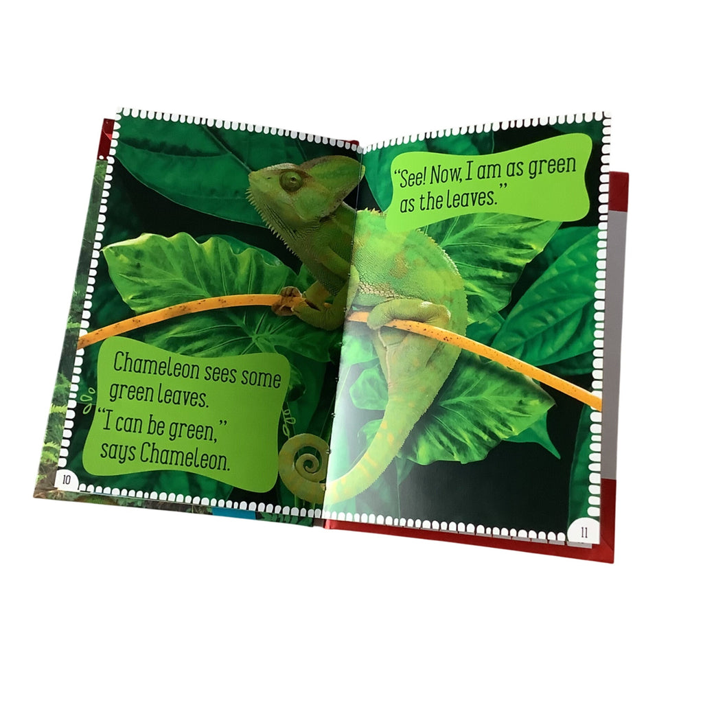 Chameleon Can Hardcover Childrens Book By Rosie Greening Kindergarten Reading Tool