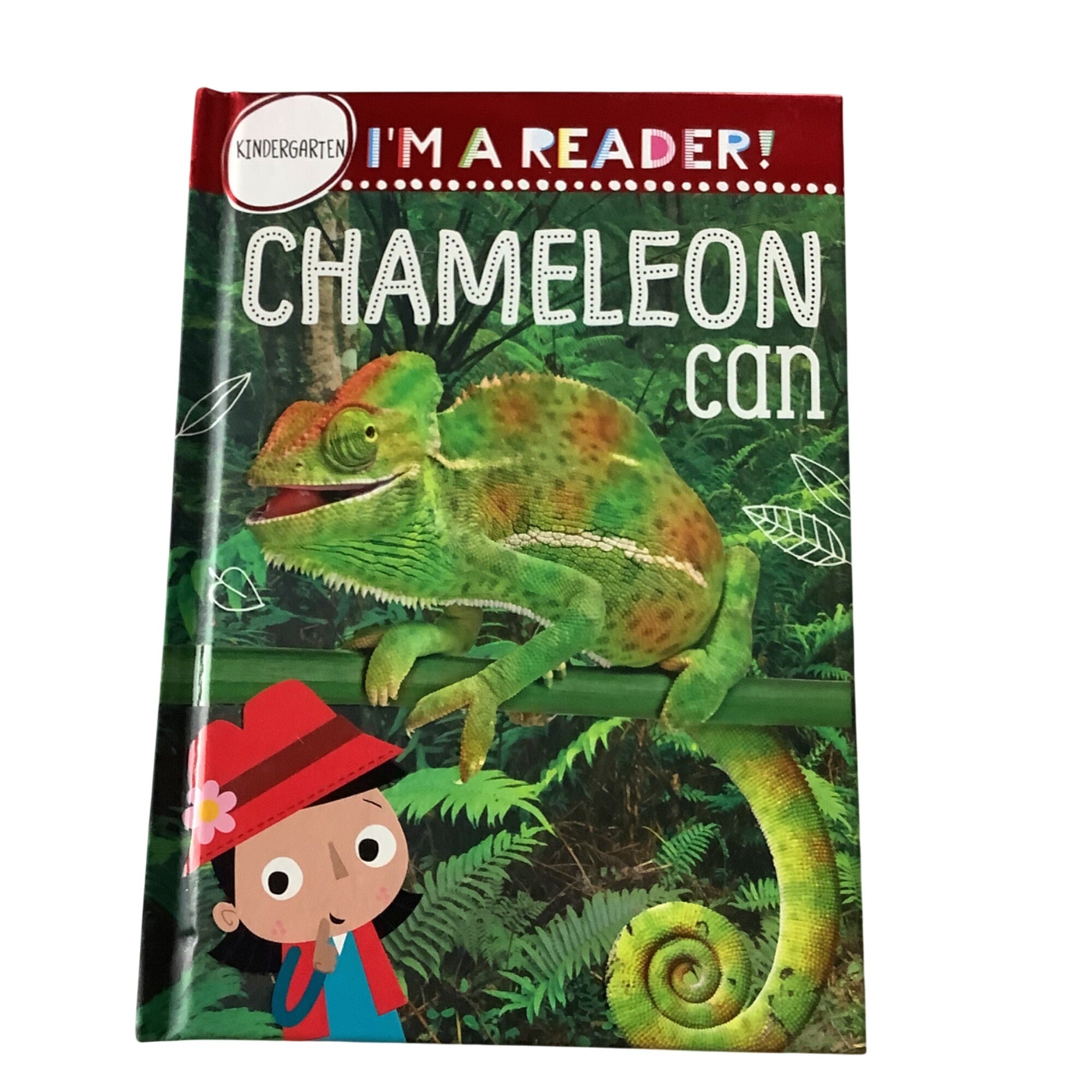 Chameleon Can Hardcover Childrens Book By Rosie Greening Kindergarten Reading Tool