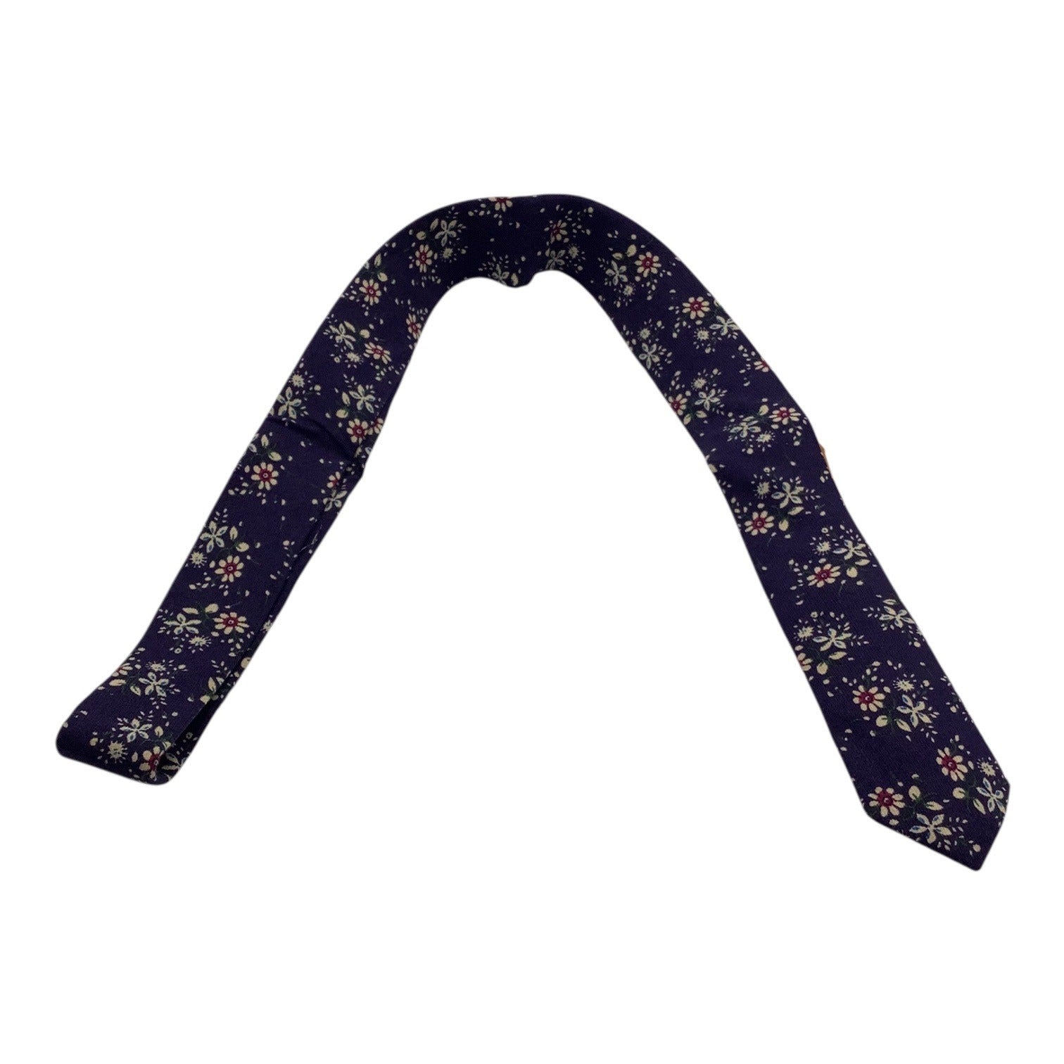 Skinny Tie Madness Mens Floral Blue Cotton Multicolor Skinny Neck Tie Flowers