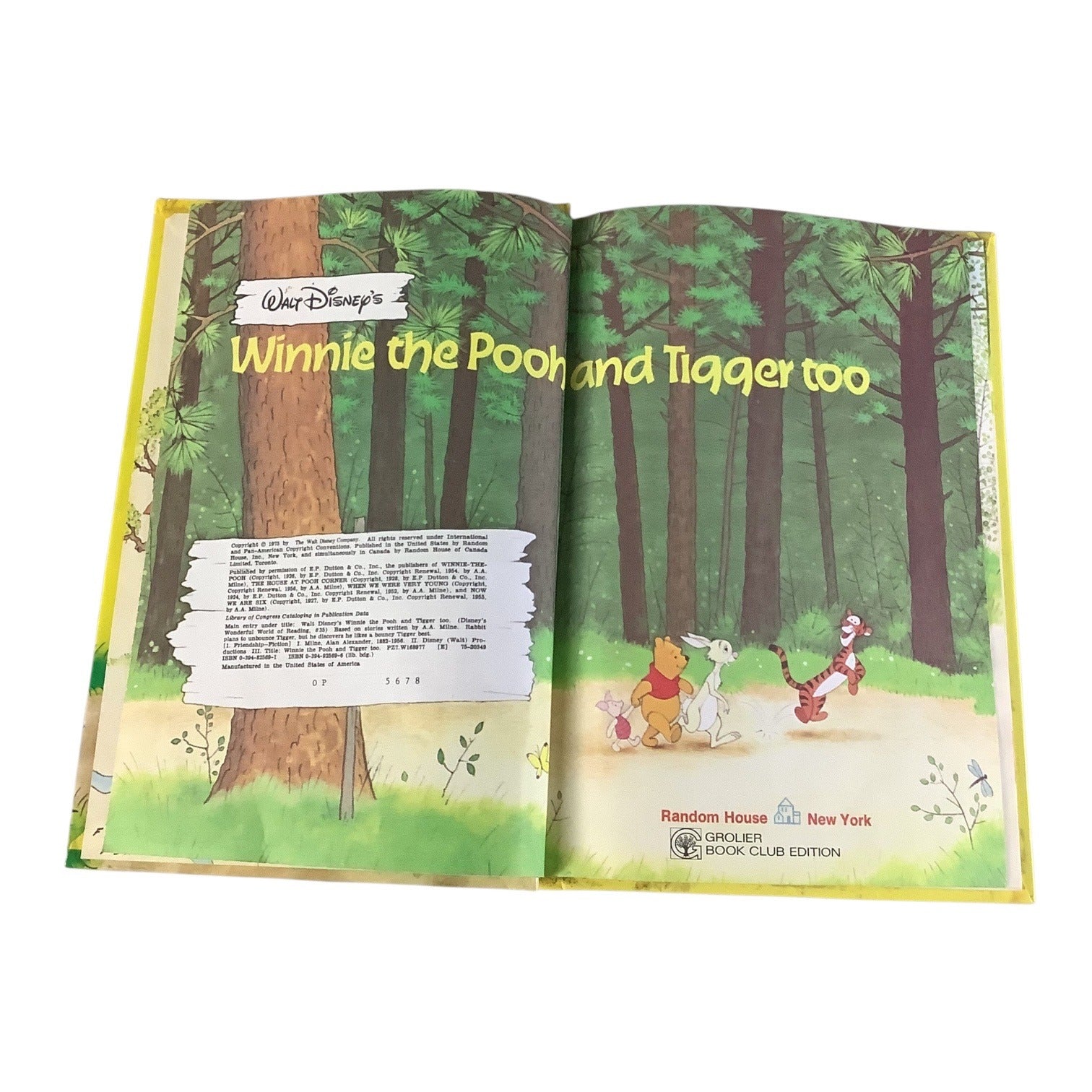 Walt Disneys Winnie The Pooh And Tigger Too Hardcover Book 1975 Vintage Random House
