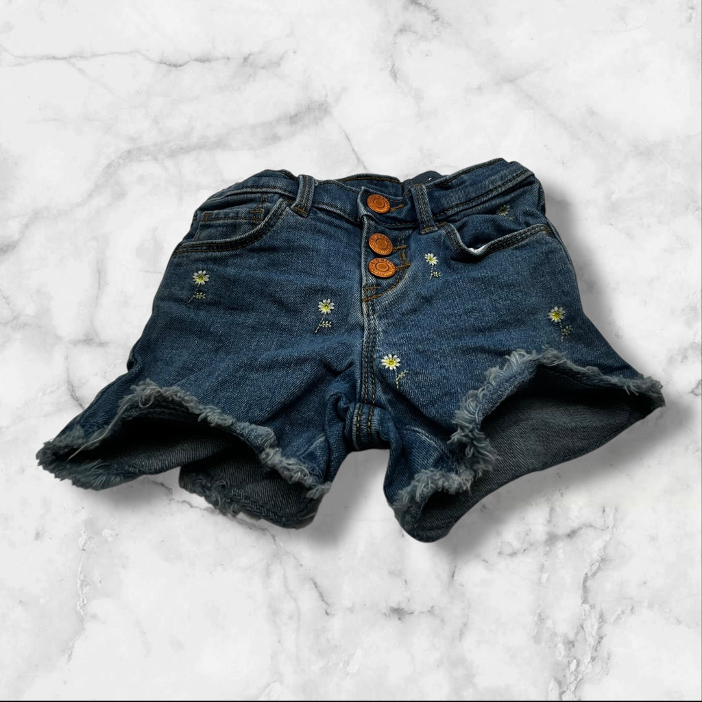 Old Navy Toddler Girls 4T Adjustable Denim Daisy-Embroidered Frayed Hem Shorts