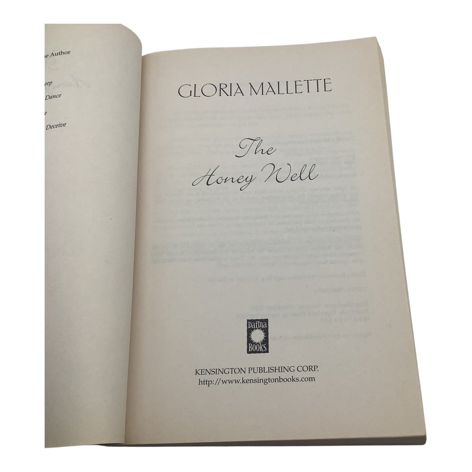 The Honey Well By Gloria Mallette 2003 Paperback Novel Book
