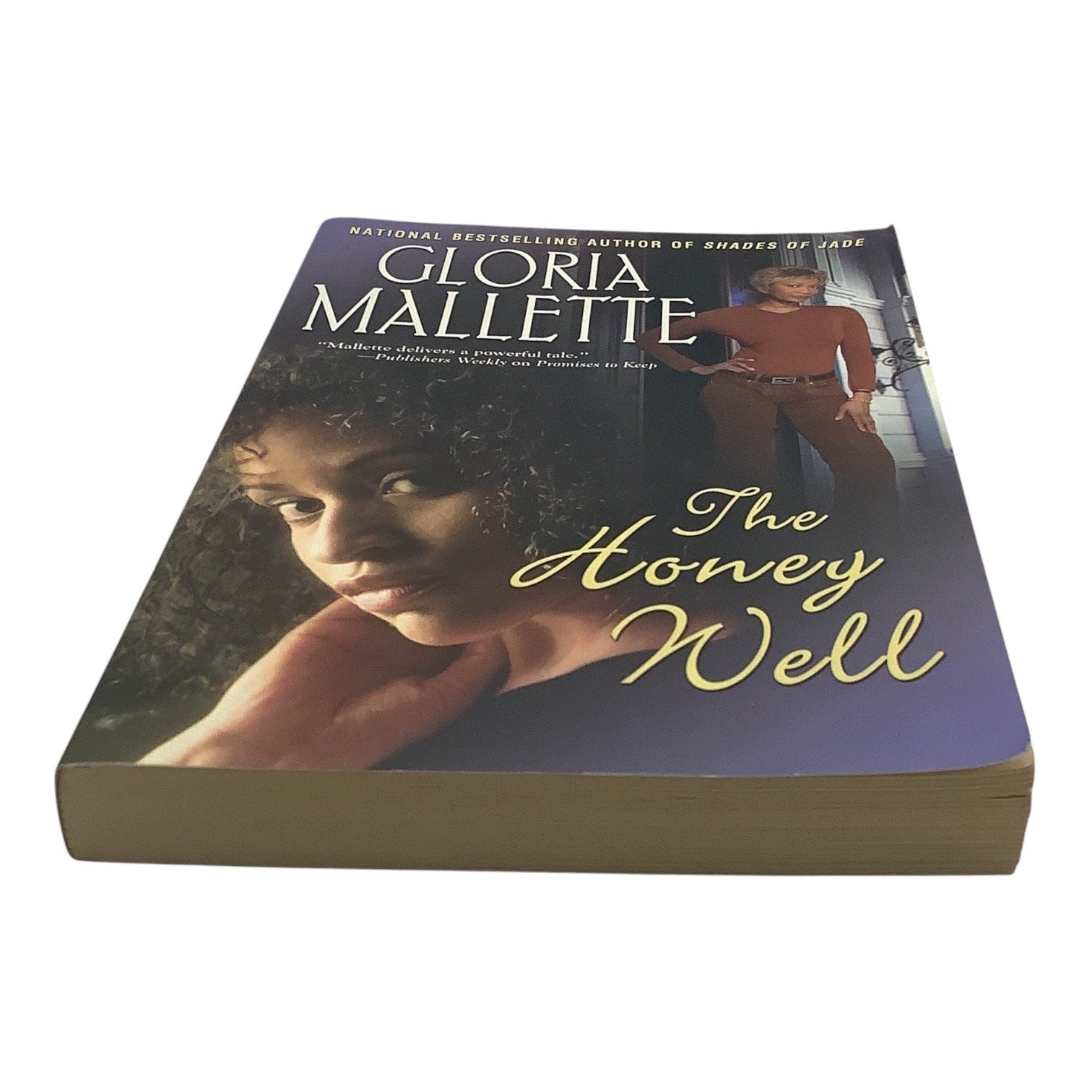 The Honey Well By Gloria Mallette 2003 Paperback Novel Book