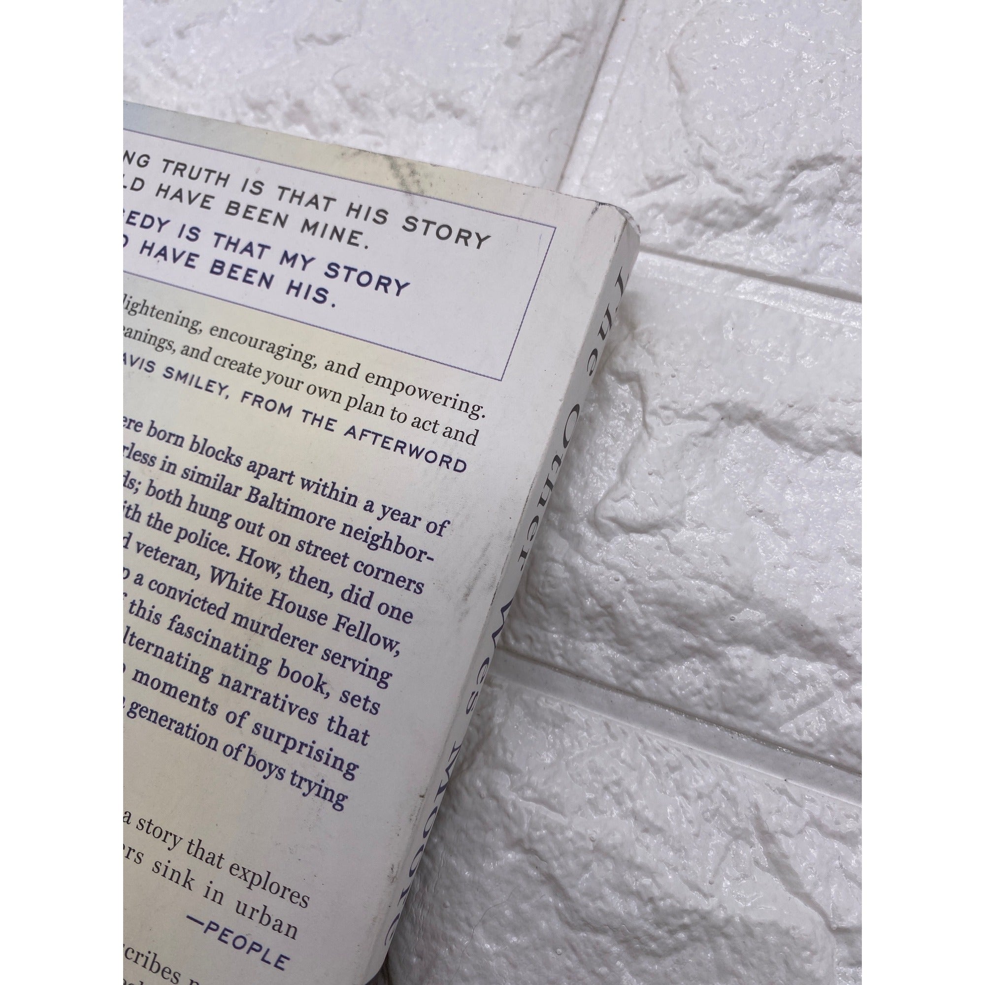 The Other Wes Moore: One Name Two Fates By Wes Moore 2010 Paperback