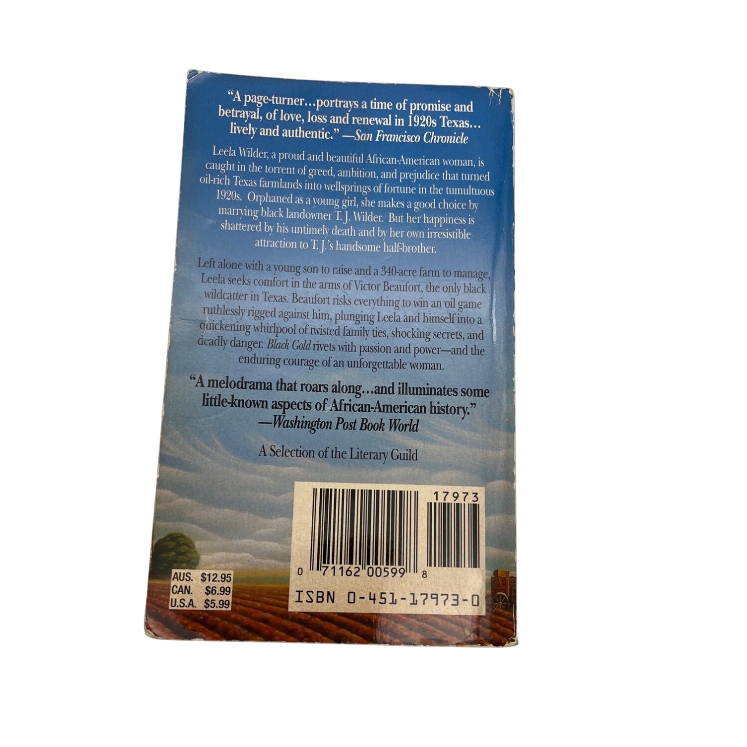 Black Gold By Anita Richmond Bunkley Paperback 1994 Novel