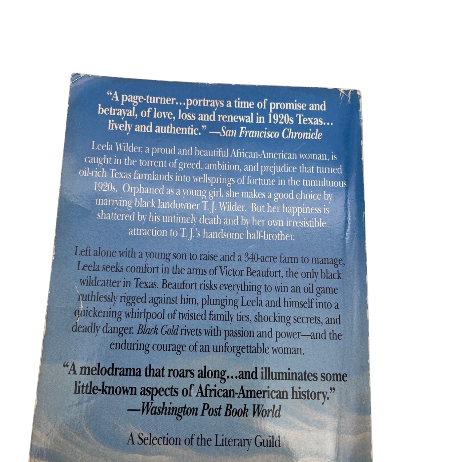 Black Gold By Anita Richmond Bunkley Paperback 1994 Novel