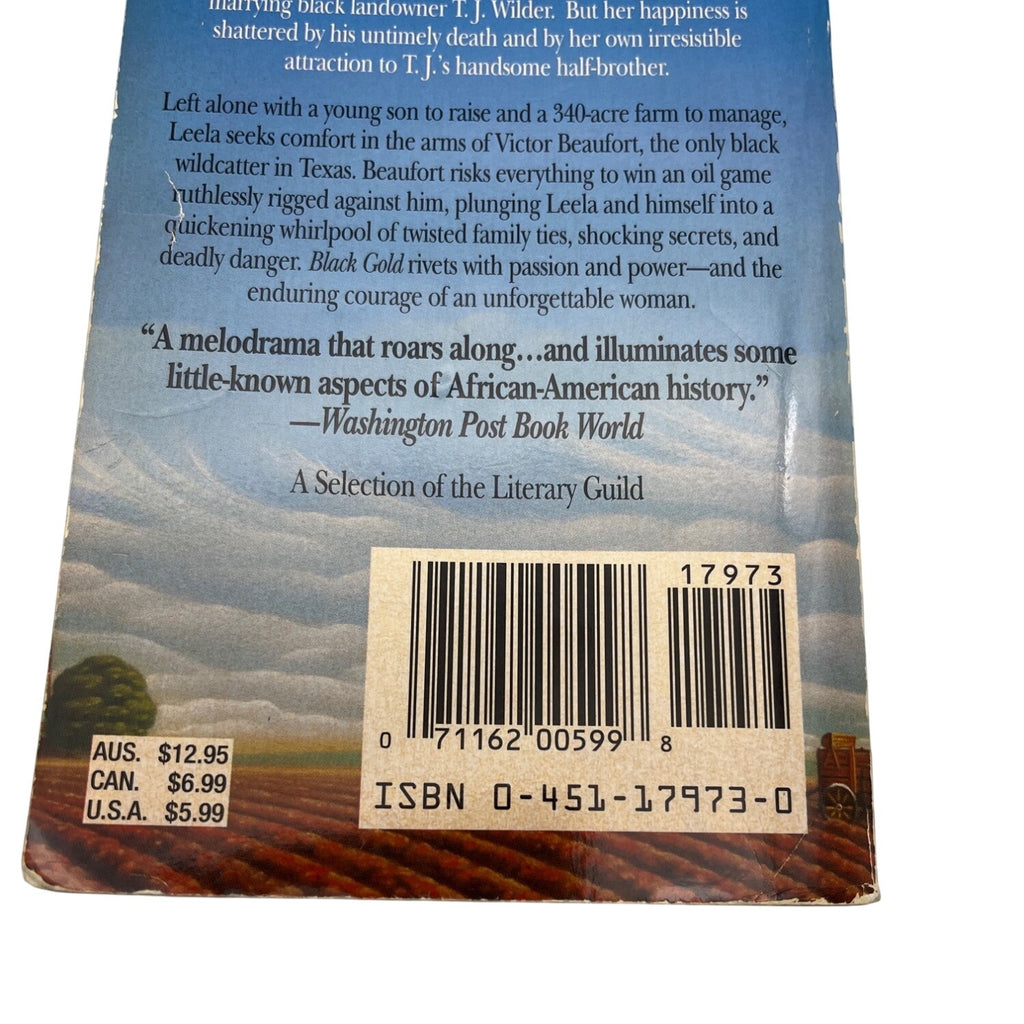 Black Gold By Anita Richmond Bunkley Paperback 1994 Novel