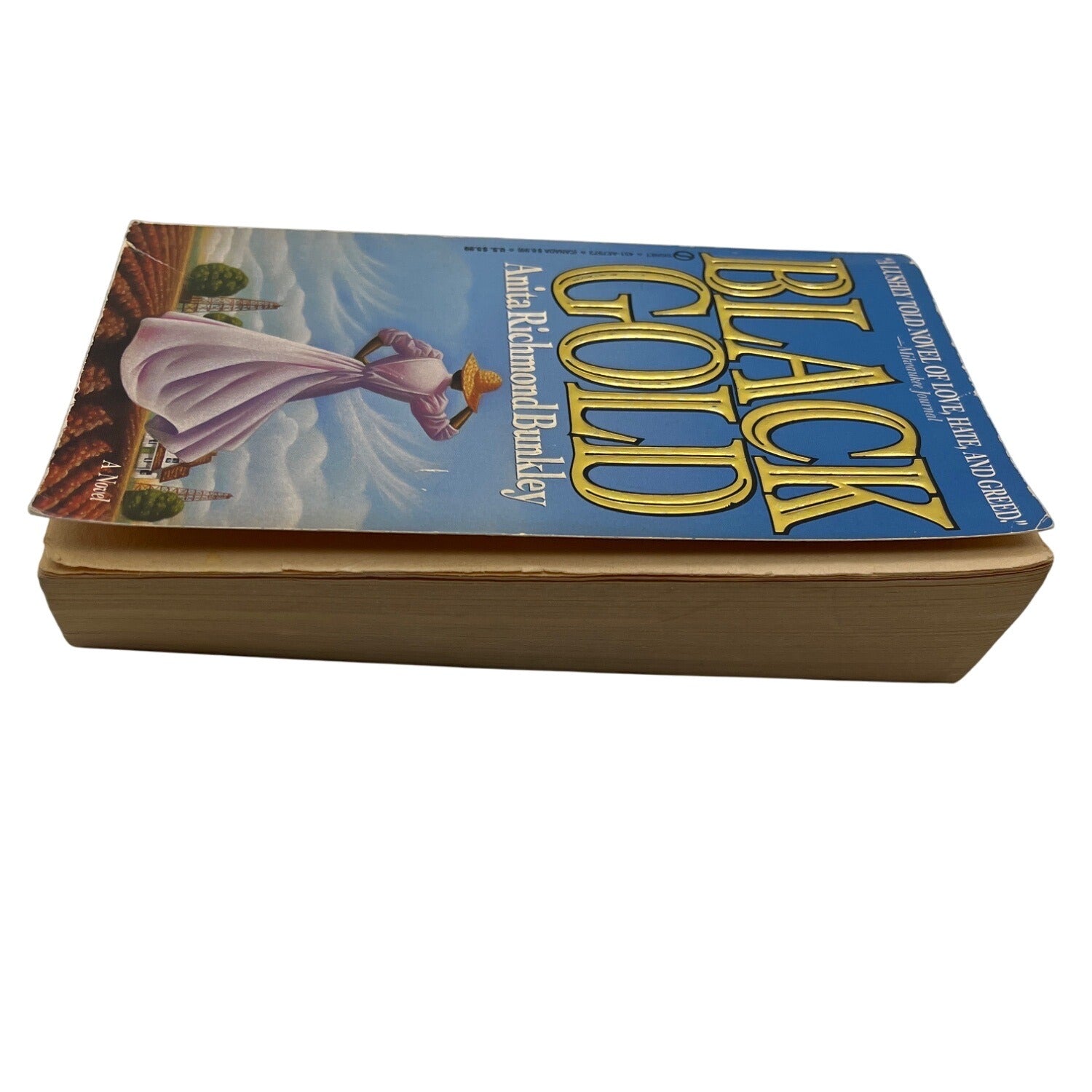 Black Gold By Anita Richmond Bunkley Paperback 1994 Novel