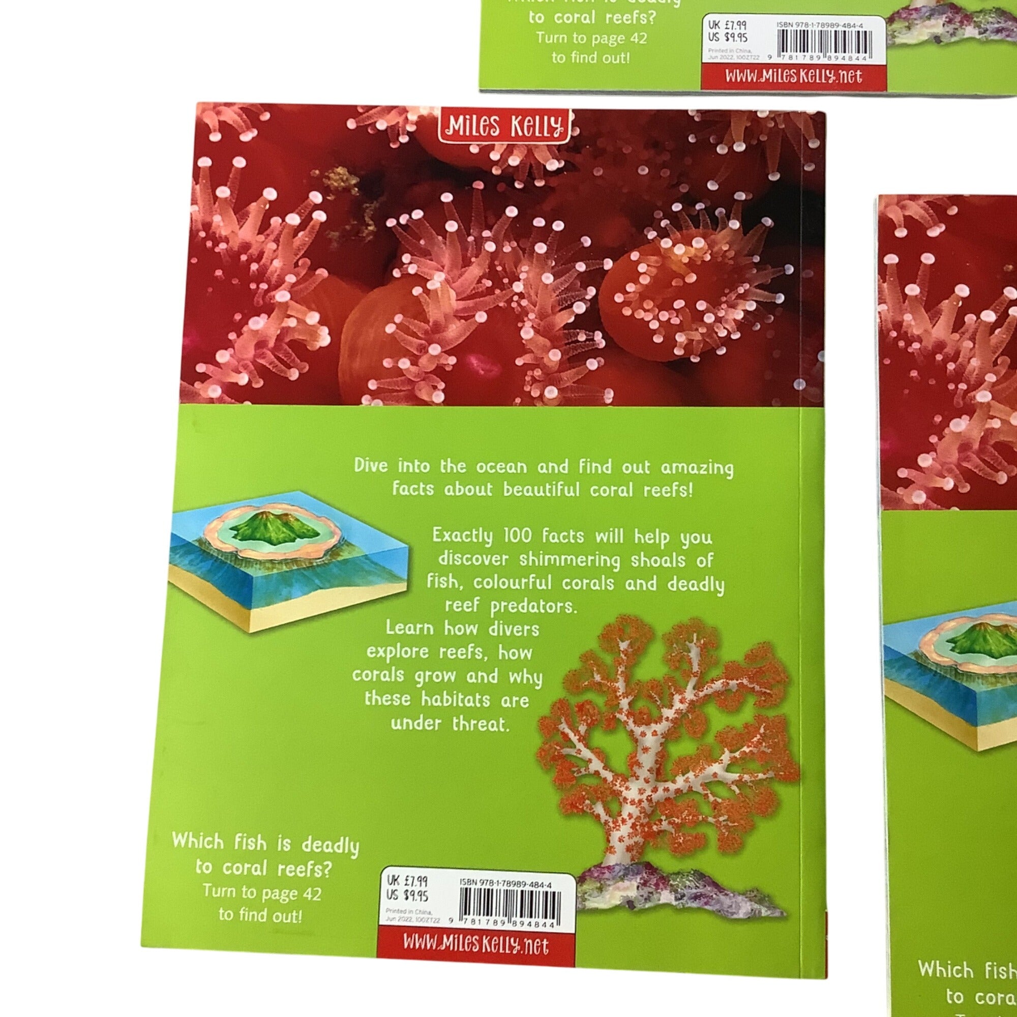 100 Facts Coral Reef Paperback Book Bundle Miles Kelly Children’s Educational Books