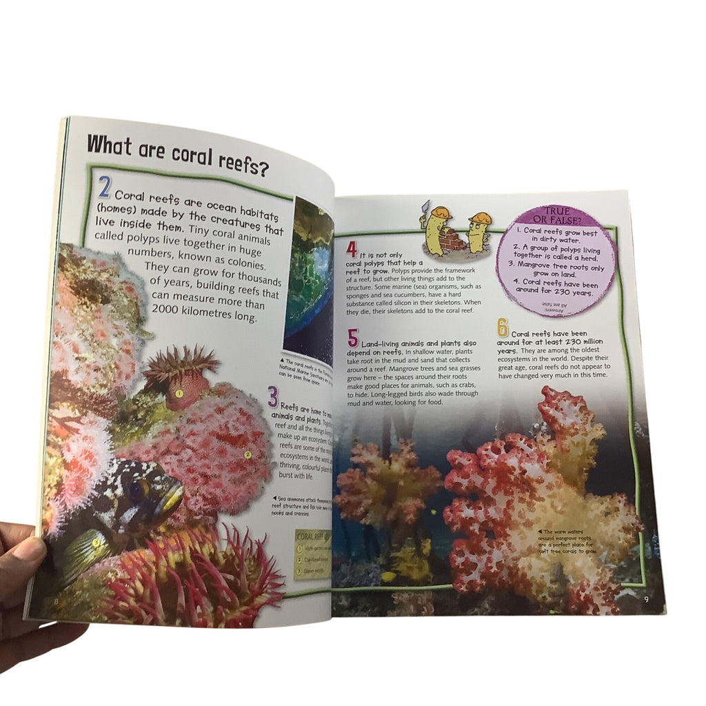 100 Facts Coral Reef Paperback Book Bundle Miles Kelly Children’s Educational Books