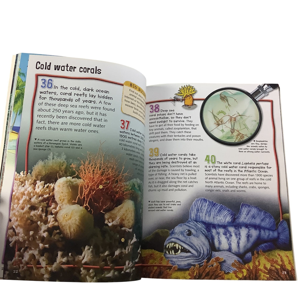 100 Facts Coral Reef Paperback Book Bundle Miles Kelly Children’s Educational Books