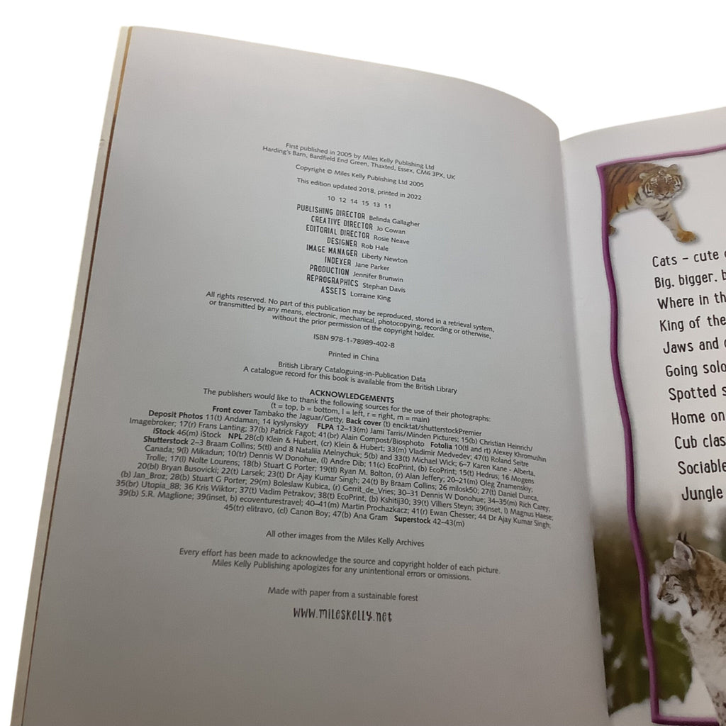 100 Facts Big Cats Book By Miles Kelly Illustrated Paperback 2022 Edition