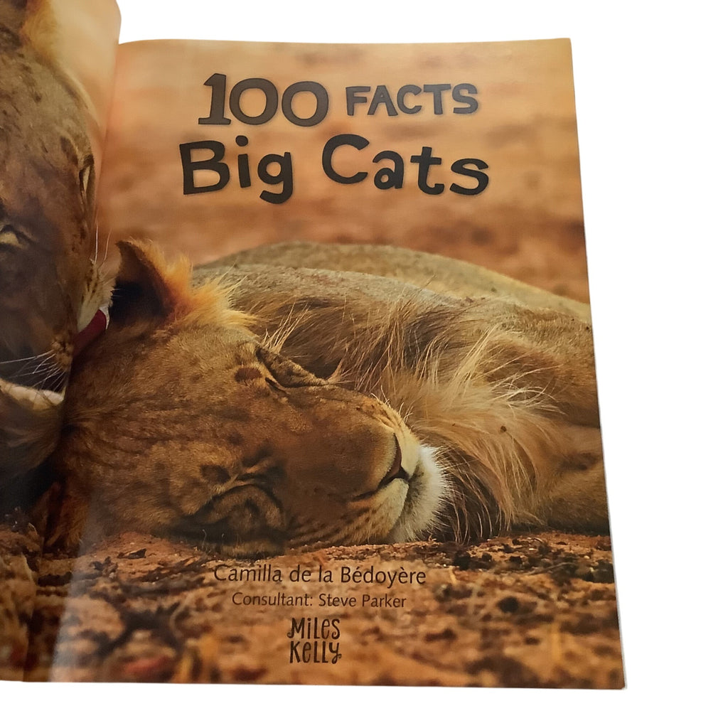 100 Facts Big Cats Book By Miles Kelly Illustrated Paperback 2022 Edition