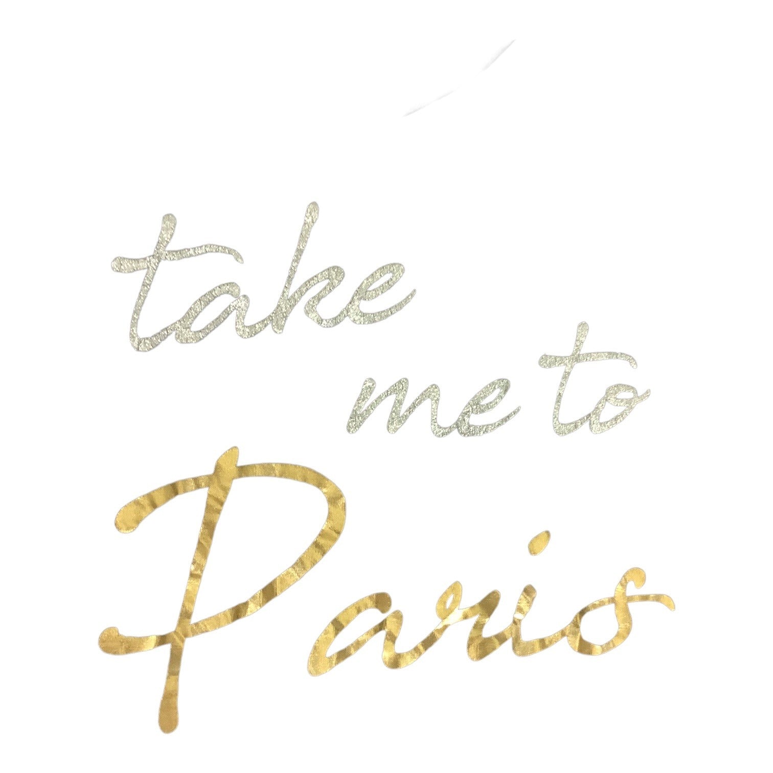 Lane Bryant Womens Graphic V-Neck T-Shirt Sz 26/28 Take Me To Paris Black Gold