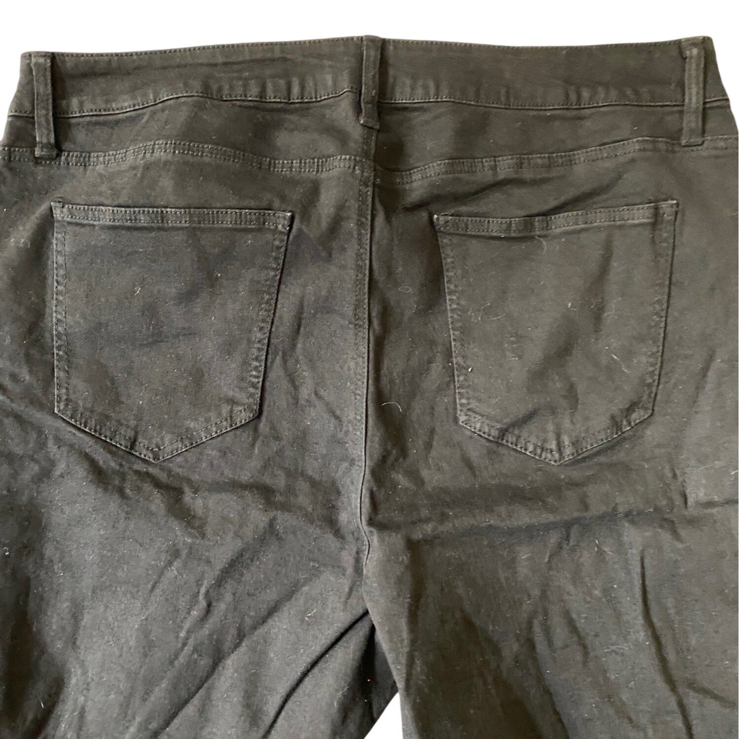 Refuge+ By Charlotte Russe Women’s Black Bermuda Distressed Shorts Size 22 Denim