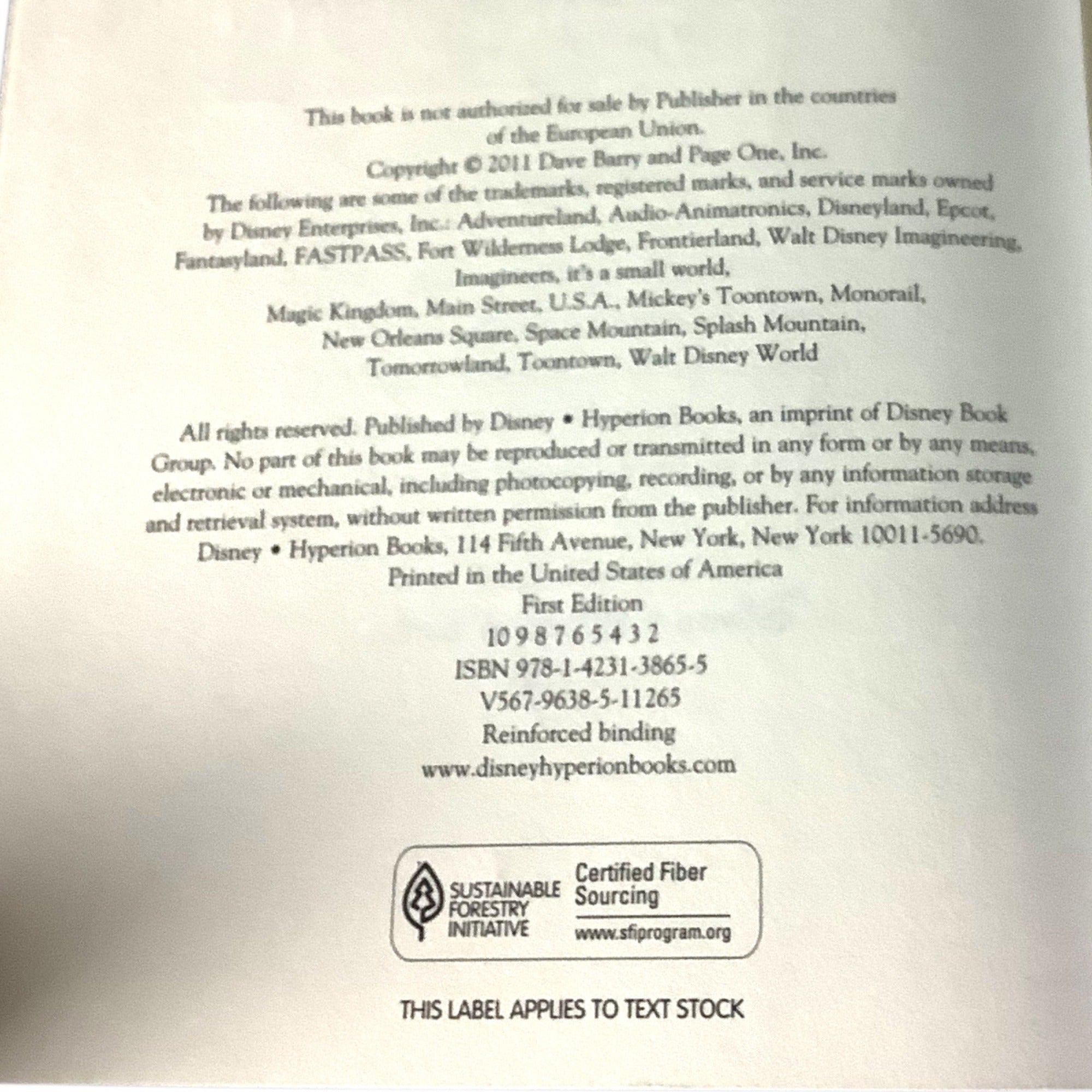 The Bridge To Never Land By Dave Barry & Ridley Pearson First Edition Hardcover