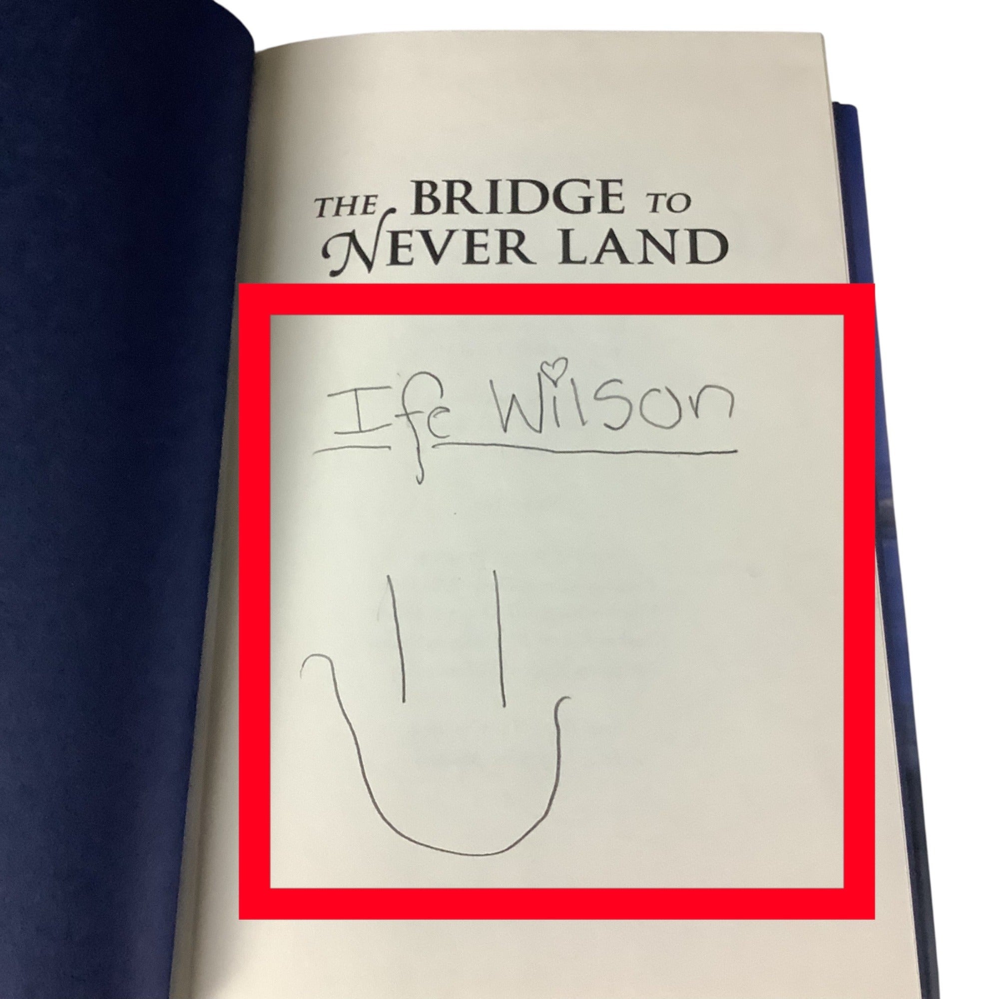 The Bridge To Never Land By Dave Barry & Ridley Pearson First Edition Hardcover