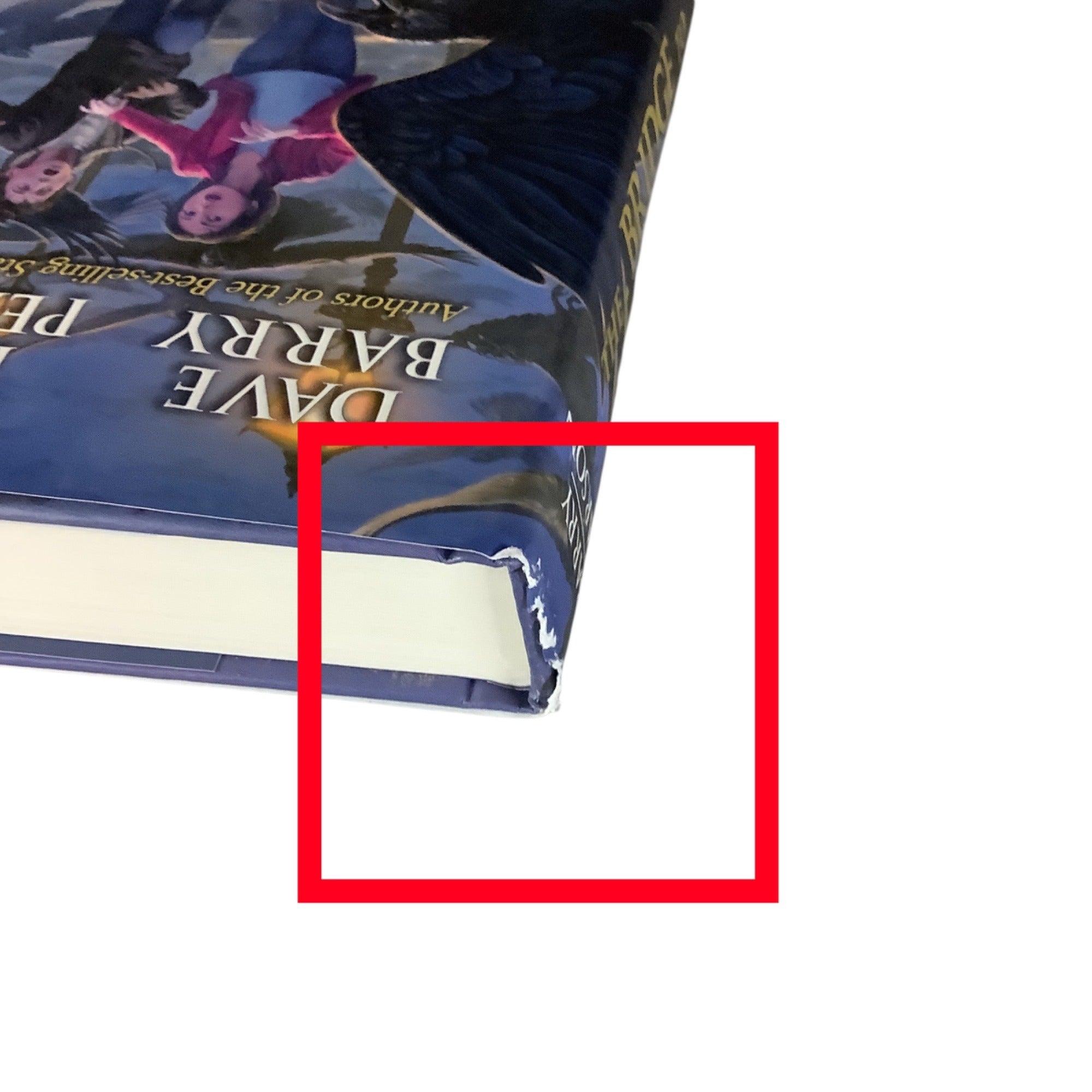 The Bridge To Never Land By Dave Barry & Ridley Pearson First Edition Hardcover