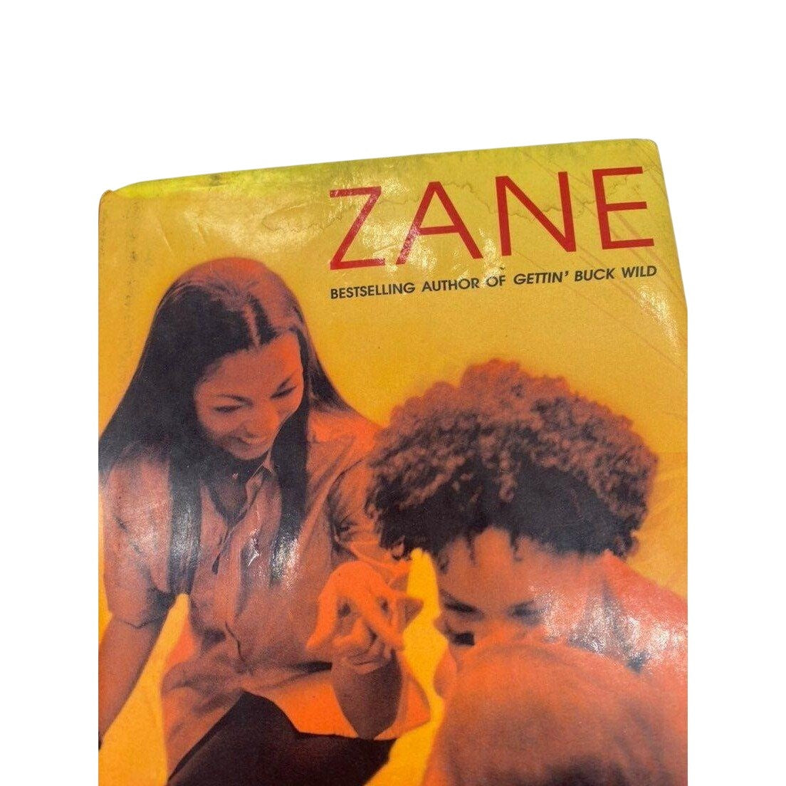 Shame On It All By Zane Hardcover Novel