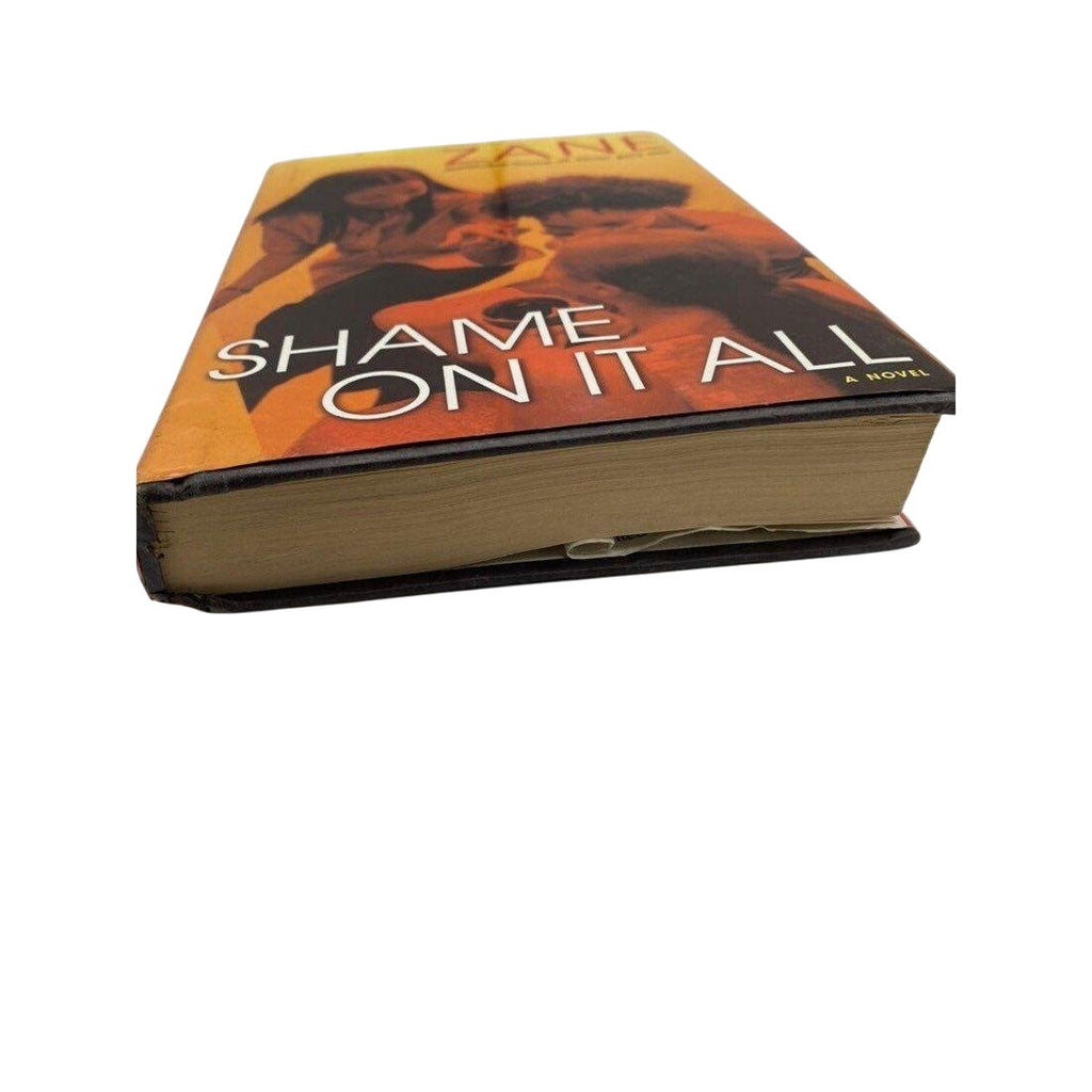 Shame On It All By Zane Hardcover Novel