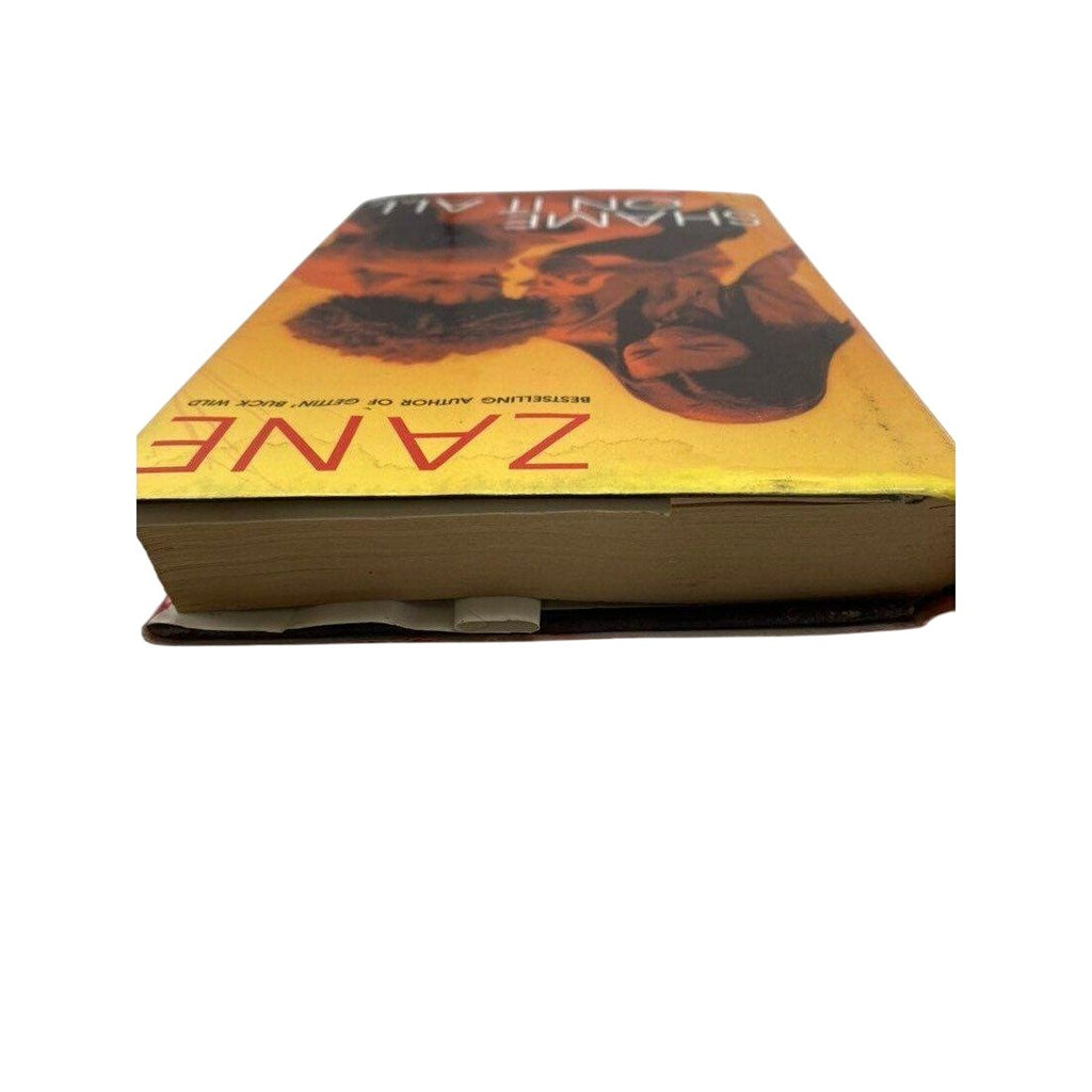 Shame On It All By Zane Hardcover Novel