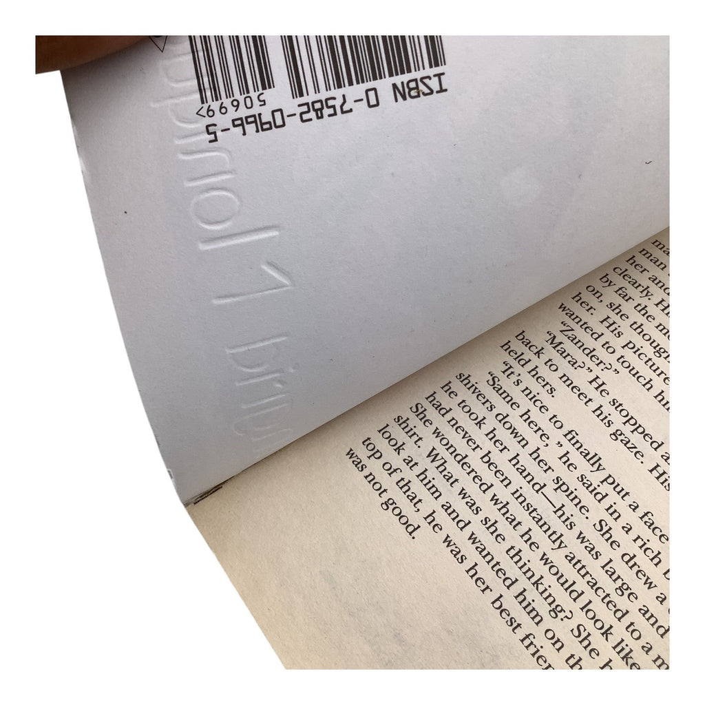 Undeniable By Ingrid Monique 2005 Paperback Romance Novel