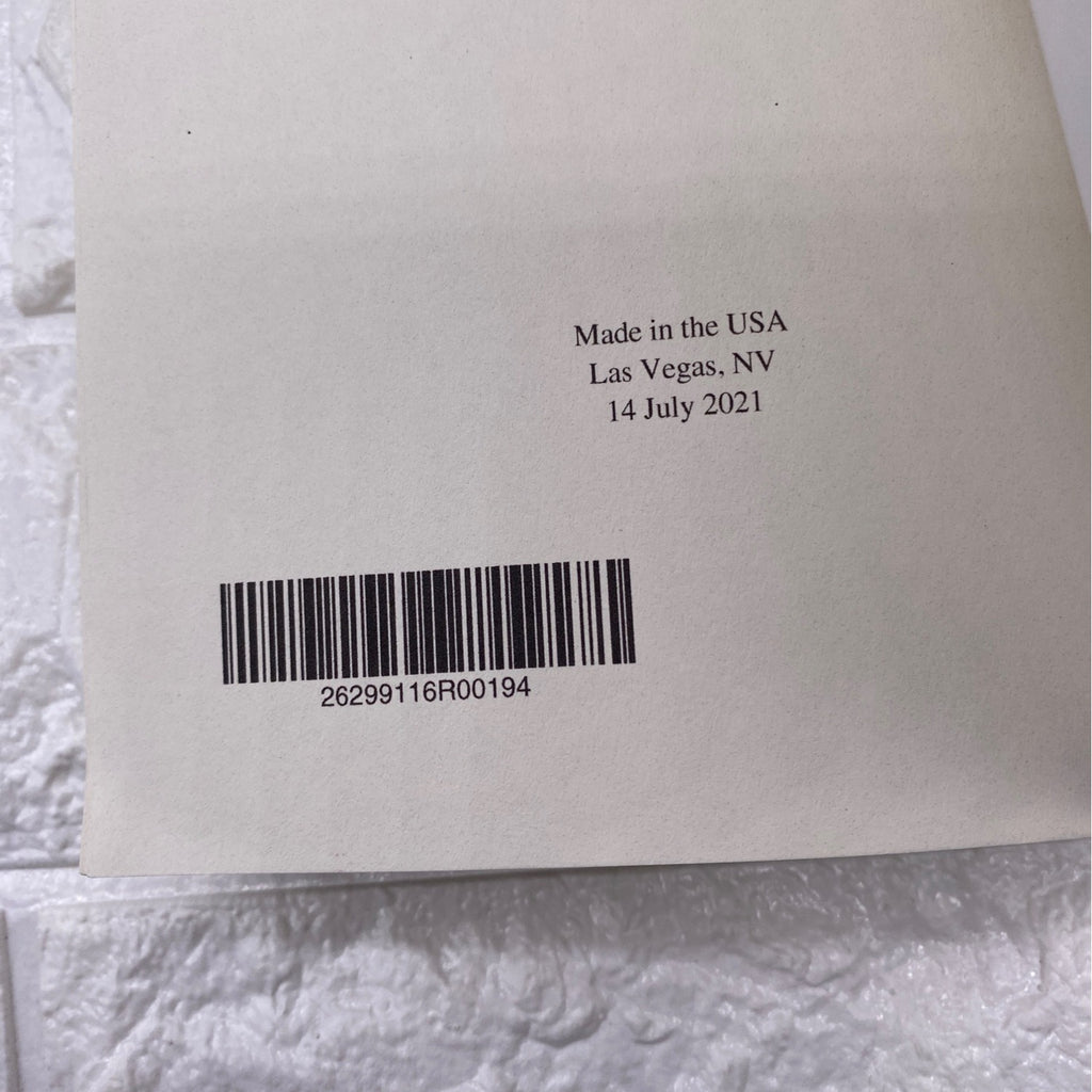 The Secret Weapon By Bradley Wright Paperback Spy Thriller Novel 2020 Book