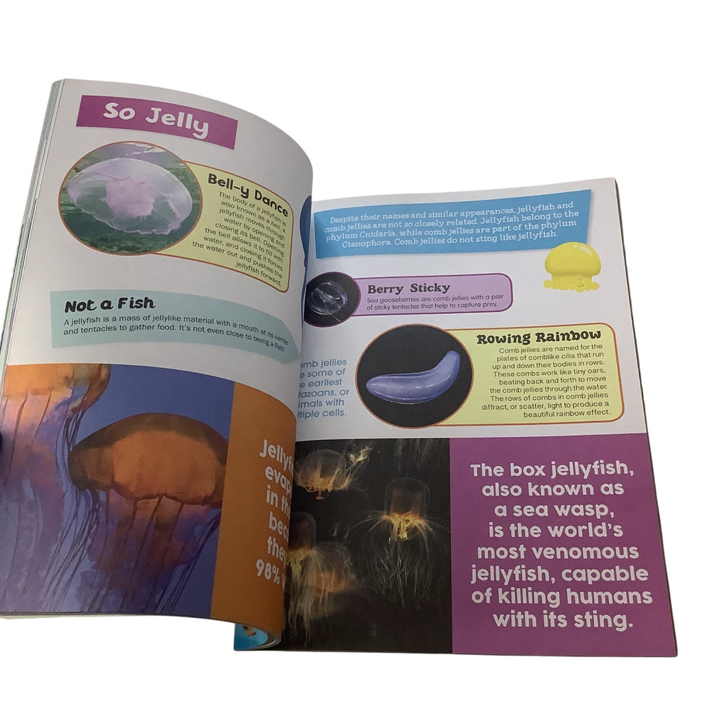 Kidsbooks STEM The Big Book Of Animals And Sharks & Sea Creatures Set