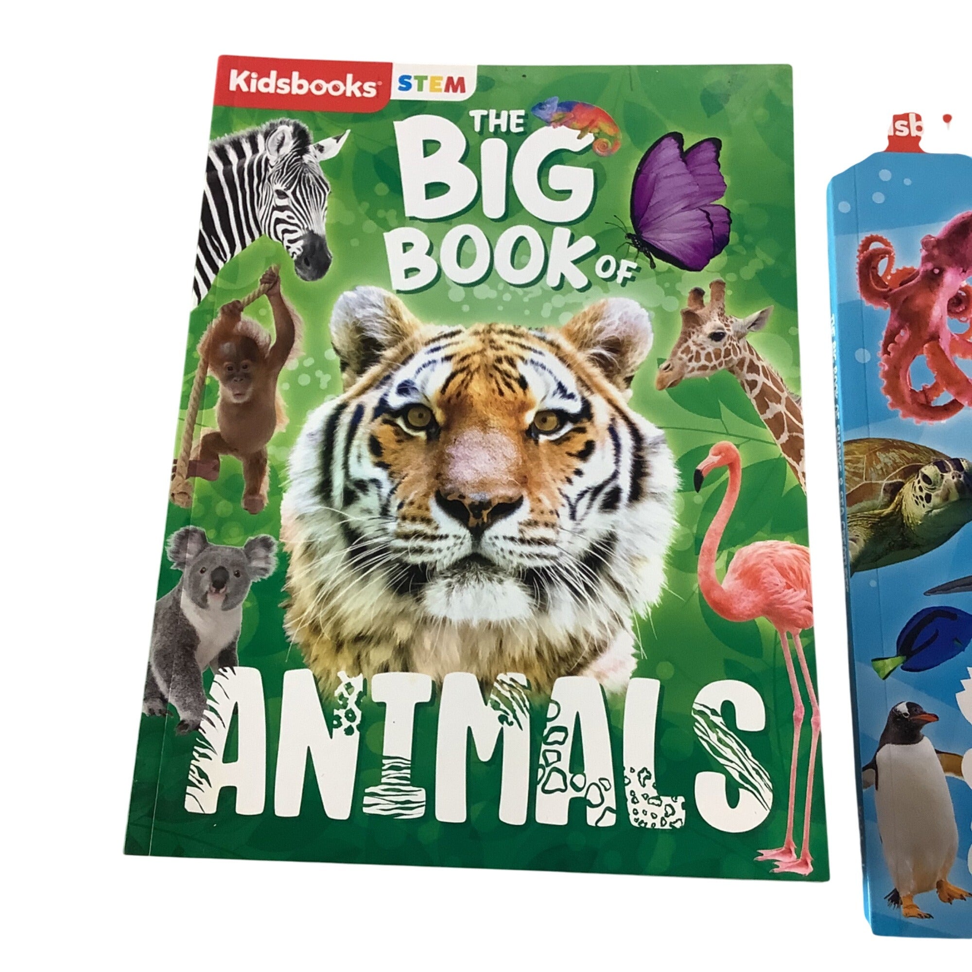 Kidsbooks STEM The Big Book Of Animals And Sharks & Sea Creatures Set