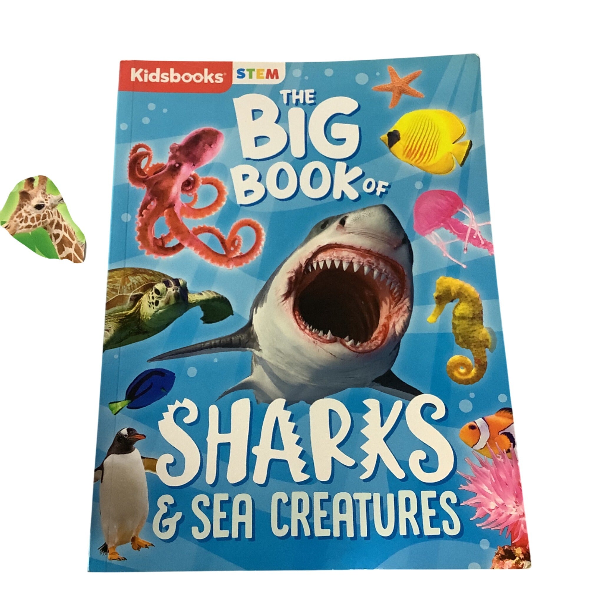 Kidsbooks STEM The Big Book Of Animals And Sharks & Sea Creatures Set