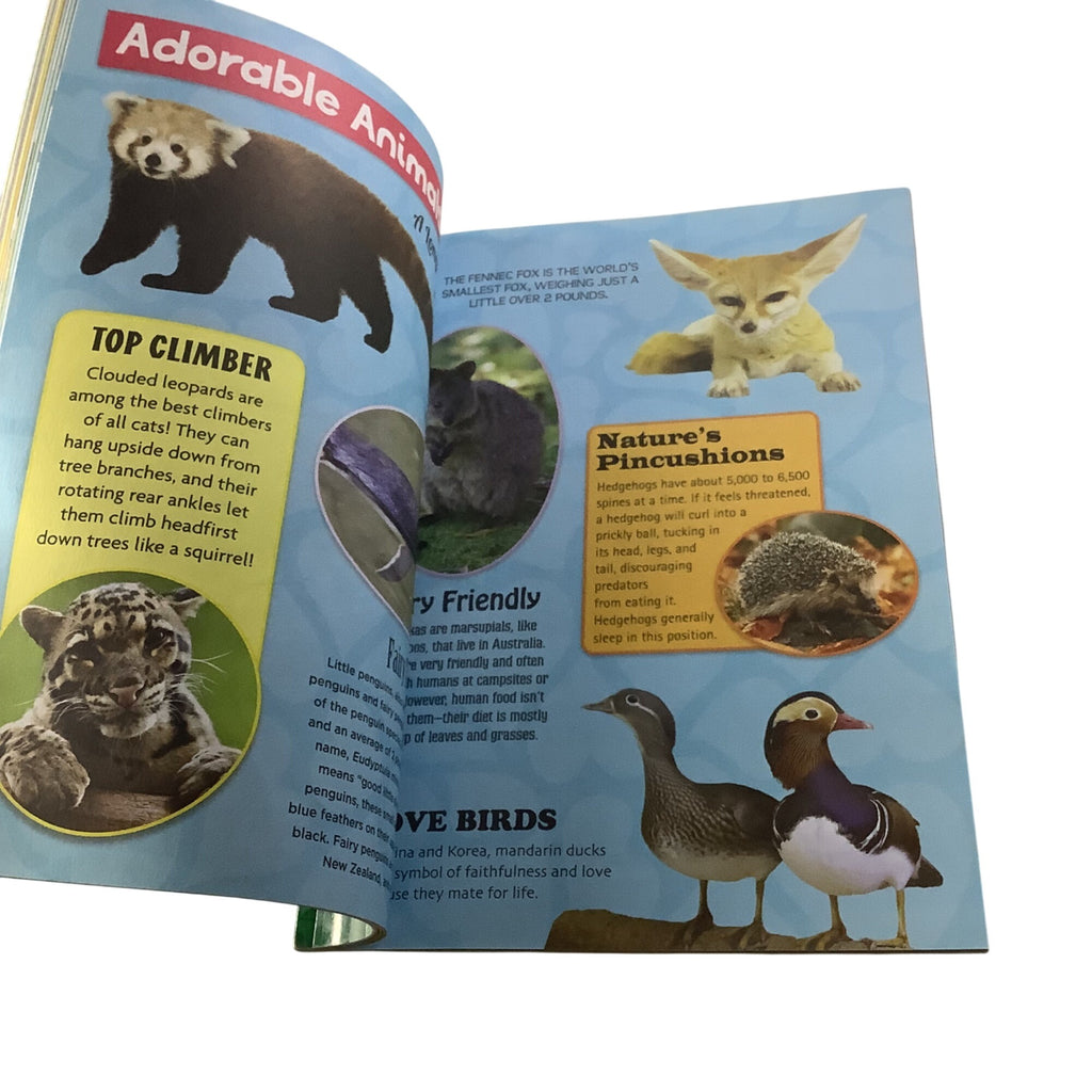 Kidsbooks STEM The Big Book Of Animals And Sharks & Sea Creatures Set
